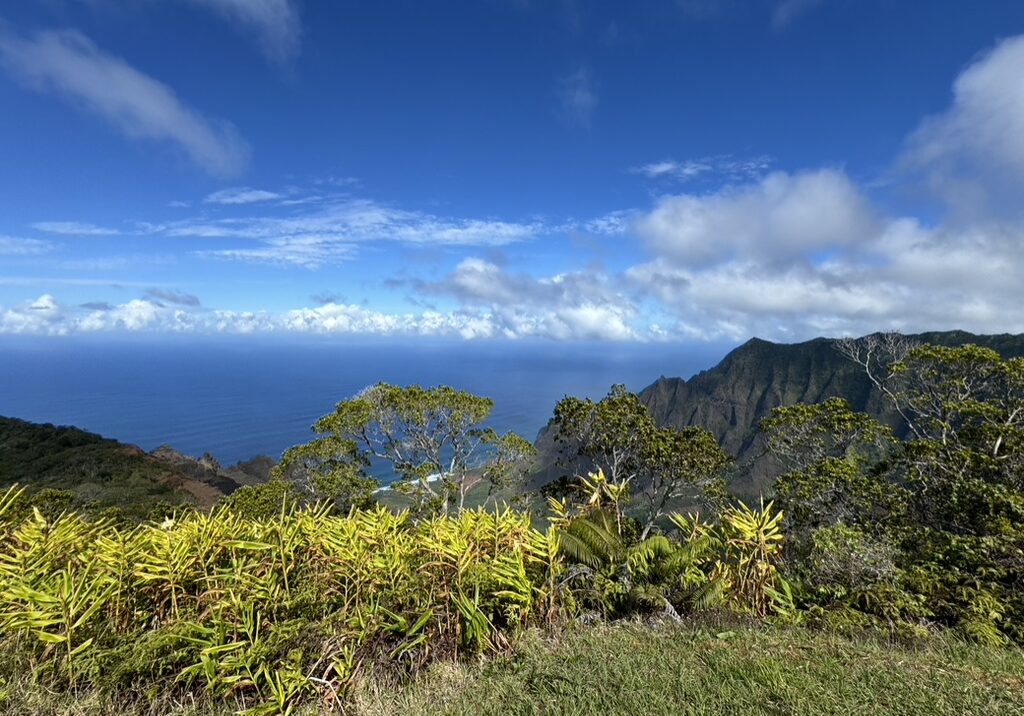 3ED3EF2F-97EC-4246-957B-5C8CB6F0EFFC_1_105_c